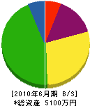 西日本電設 貸借対照表 2010年6月期