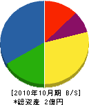 藤本工務店 貸借対照表 2010年10月期