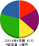 佐々木工務店 貸借対照表 2010年6月期