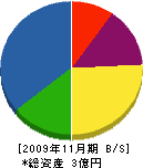 藤田工務店 貸借対照表 2009年11月期