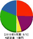 ヤマカ建設 貸借対照表 2010年9月期