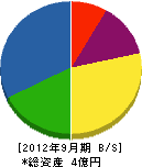 大阪特器設備 貸借対照表 2012年9月期
