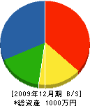 松村わかば園 貸借対照表 2009年12月期