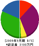 鹿島産業 貸借対照表 2009年9月期