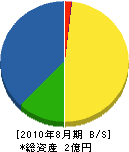 穴山電機工業所 貸借対照表 2010年8月期