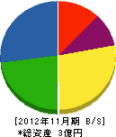 沖田組 貸借対照表 2012年11月期