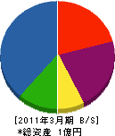 新井土木 貸借対照表 2011年3月期