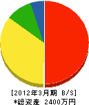 長谷川電気 貸借対照表 2012年3月期