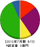 松蔭産業 貸借対照表 2012年7月期