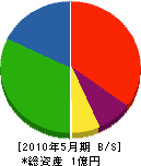 大島石材 貸借対照表 2010年5月期
