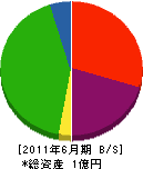 柳田建設 貸借対照表 2011年6月期