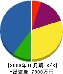 山田建設 貸借対照表 2009年10月期