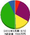 田中園芸 貸借対照表 2012年9月期