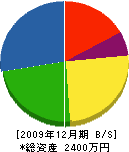 松井工務店 貸借対照表 2009年12月期