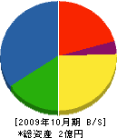 石坂興業 貸借対照表 2009年10月期