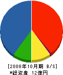 カナヱ商事 貸借対照表 2008年10月期