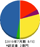 早川材木店 貸借対照表 2010年7月期