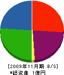 上田硝子店 貸借対照表 2009年11月期