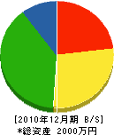 山鈴建設 貸借対照表 2010年12月期