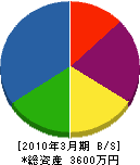 飯田建設 貸借対照表 2010年3月期