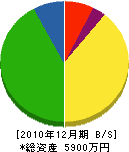 藤田建設 貸借対照表 2010年12月期