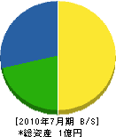 仙仁組 貸借対照表 2010年7月期