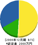 桜土木 貸借対照表 2008年12月期