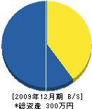 森田水道 貸借対照表 2009年12月期