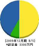 内野貞行 貸借対照表 2009年12月期