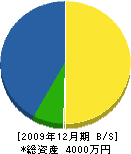 阪部土木 貸借対照表 2009年12月期