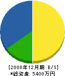 梅崎土木 貸借対照表 2008年12月期