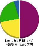 琉電工業社 貸借対照表 2010年6月期