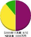 丸島組 貸借対照表 2009年11月期