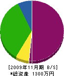 村松造園 貸借対照表 2009年11月期