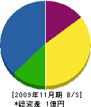 宝城通信 貸借対照表 2009年11月期