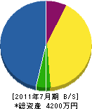 大竹商会 貸借対照表 2011年7月期