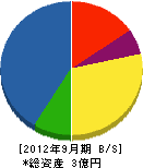 中村冷機 貸借対照表 2012年9月期
