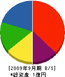 和田長建設 貸借対照表 2009年9月期