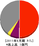 姉川建設 損益計算書 2011年6月期