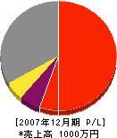 井谷塗装 損益計算書 2007年12月期