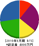 仲川組 貸借対照表 2010年6月期