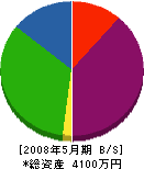 片岡環境エンジニア 貸借対照表 2008年5月期