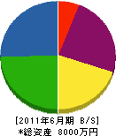 赤塚塗装店 貸借対照表 2011年6月期
