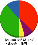 新川大清商店 貸借対照表 2008年12月期