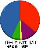 大内漁網 貸借対照表 2008年10月期