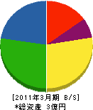 中村電設 貸借対照表 2011年3月期
