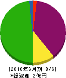 栗本組 貸借対照表 2010年6月期