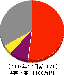 斎藤電気工業所 損益計算書 2009年12月期