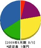 広島ポンプ工事工業所 貸借対照表 2009年6月期