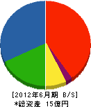千田建設 貸借対照表 2012年6月期